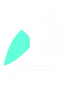 WERKY ident